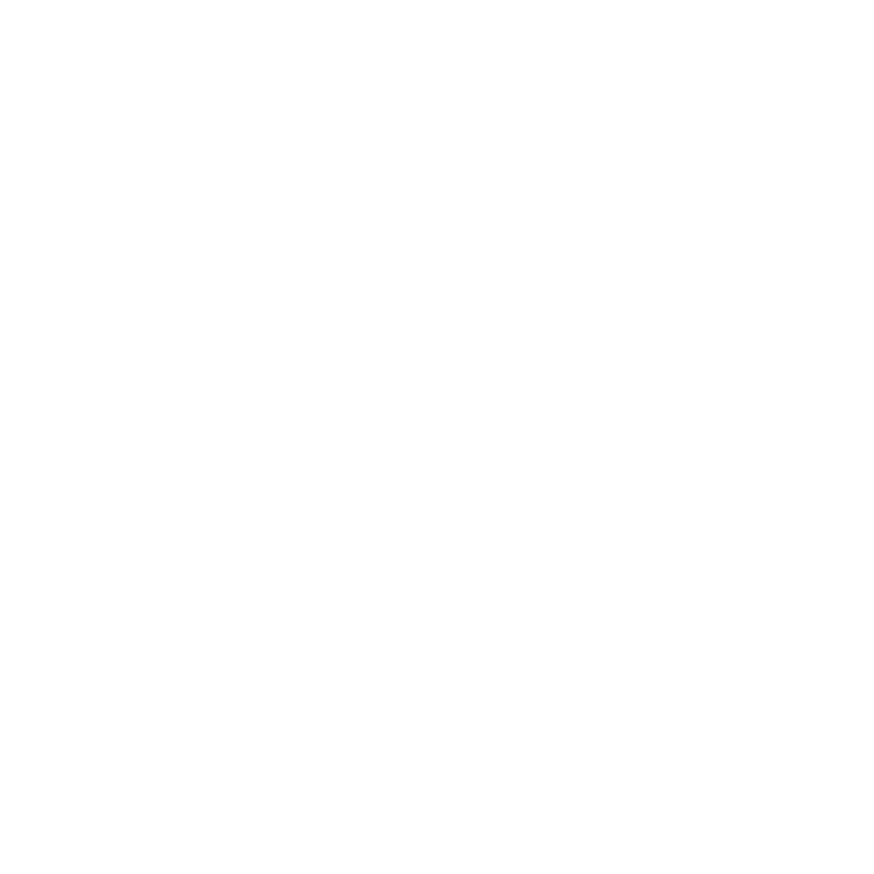 BA Passport - H-Farm